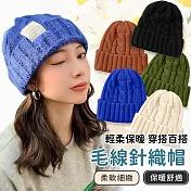【EZlife】麻花編織保暖百搭毛線帽 藍色