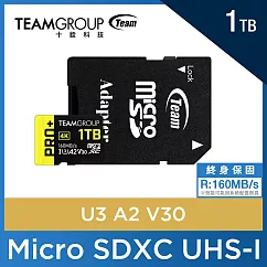TEAM 十銓 PRO+ MicroSDXC 1TB UHS─I U3 A2 V30 記憶卡 (含轉卡+終身保固) 黑黃