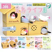 【日本正版授權】小全套3款 文鳥的日常生活 P3 扭蛋/轉蛋 白文鳥 tarlin 185551SP