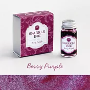 【寺西化學】閃粉亮片墨水  莓果紫