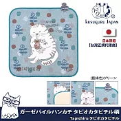 【Kusuguru Japan】紗布絨手帕 毛巾 日本眼鏡貓Tapichiru系列  -綠色
