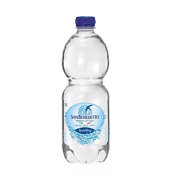 SB聖碧濤義大利氣泡礦泉水 -- 0.5L( 2箱．共48瓶)