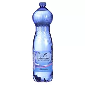 SB聖碧濤義大利天然礦泉水 -- 1.5L( 2箱．共24瓶)