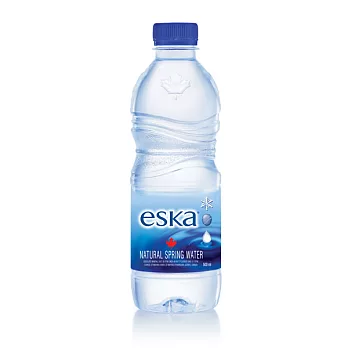 加拿大eska愛斯卡天然冰川水便利瓶 500mlx24瓶(箱)