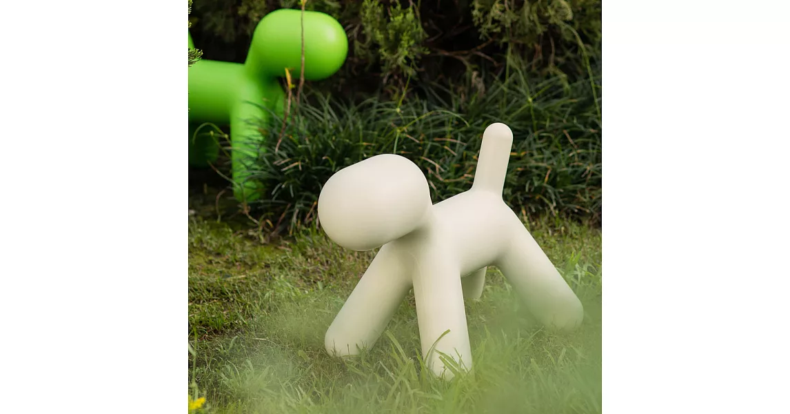 Puppy(霧白小型犬)