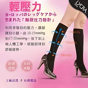 【sinacova】快適機能襪多功能健康護腿-6雙入                              M