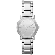 DKNY 紐約風格時尚三針腕錶-鏡面銀