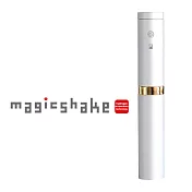 antibac2K 安體百克水素棒 MAGIC SHAKE -銀色MS-5銀色