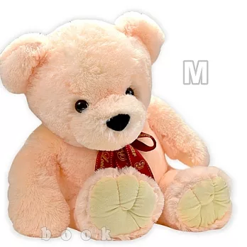 【愛妮莎】泰迪熊-M號