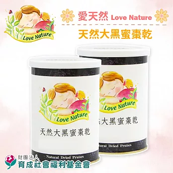 《育成基金會》天然大黑蜜棗乾(300g/包,共兩包)
