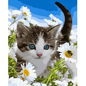 ArtLife藝術生活【DT011】花園小貓_DIY 數字 油畫 彩繪