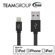 TEAM十銓科技 Apple原廠認證充電/傳輸線 TWC08黑色