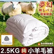《田中保暖試驗所》2.5Kg 澳大利亞100%純羊毛被 6x7尺 附純羊毛聲明卡 國際羊毛局保證卡 台灣製