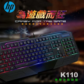 HP有線鍵盤 K110
