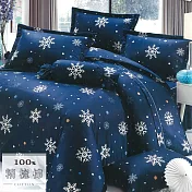 【幸福晨光】台灣製100%精梳棉雙人加大六件式床罩組- 初冬之雪