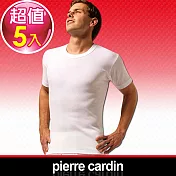 【Pierre Cardin皮爾卡登】新機能吸汗透氣圓領短袖衫- (5入組)L白色