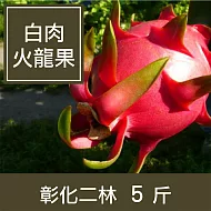 【一籃子】彰化二林【白肉火龍果】5斤