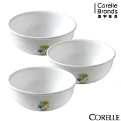 【美國康寧 CORELLE】 花漾彩繪3件式韓式湯碗組(C03)
