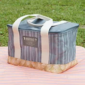 【DESTINO STYLE】日本B/D直條紋折疊野餐袋 公司貨 保溫 保冰-灰綠