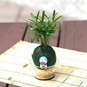 【迎光】萌寵卡通綠苔球-叮噹