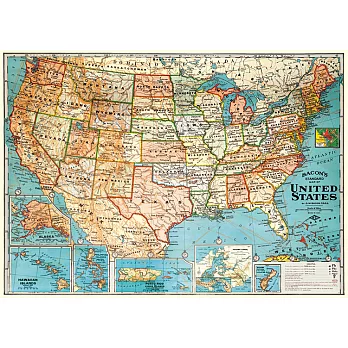 美國 Cavallini & Co. wrap 包裝紙/海報 美國地圖