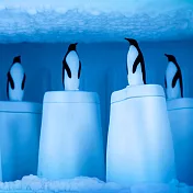 QUALY 冰原企鵝-冰棒盒