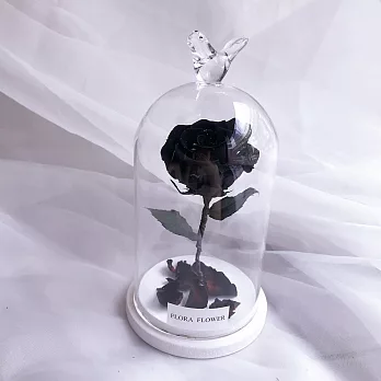【U】flora flower - 小王子玫瑰(四色可選)黑色