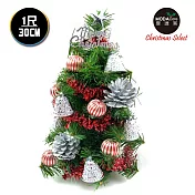 台灣製迷你1呎/1尺(30cm)裝飾綠色聖誕樹(銀鐘糖果球系)(免組裝)銀鐘糖果球系