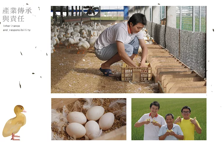 博客來 鴨迷 香煎芋泥貢鴨 博客來 鴨迷 香煎芋泥貢鴨