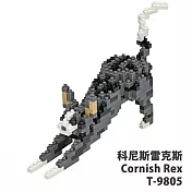 【Tico 微型積木】T-9805 科尼斯雷克斯Cornish Rex