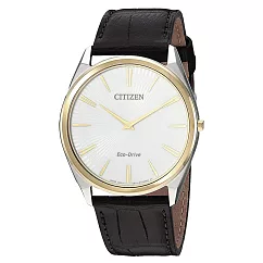 CITIZEN 光動能魅力四射時尚皮革腕錶─咖啡X白─AR3074─03A