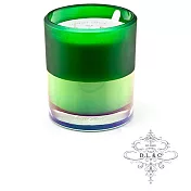 美國 D.L. & CO. ION FROSTED 霓虹光瓶系列 Verdant Spruce 蓊鬱雲杉 香氛禮盒 709g