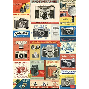 美國 Cavallini & Co. wrap 包裝紙/海報 復古相機展