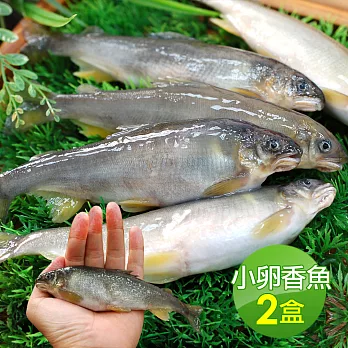 【優鮮配】 宜蘭帶卵小香魚2盒(11-17尾裝/920g/盒)免運組