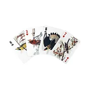 【賽先生科學工廠】3D圖鑑撲克牌-恐龍&鳥 (2入任選)鳥-2入