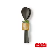 【Architec】Ecosmart 料理湯勺(兩件組)-閃耀灰