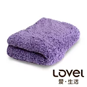 Lovel 7倍強效吸水抗菌超細纖維毛巾-共9色柔棉紫