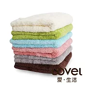 Lovel 7倍強效吸水抗菌超細纖維小浴巾6入組(共9色)粉末藍