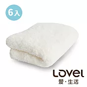 Lovel 7倍強效吸水抗菌超細纖維毛巾6入組(共9色)棉花白