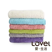 Lovel 7倍強效吸水抗菌超細纖維浴巾6入組(共9色)其他-顏色備註