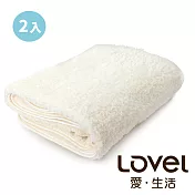 Lovel 7倍強效吸水抗菌超細纖維浴巾2件組(共9色)棉花白