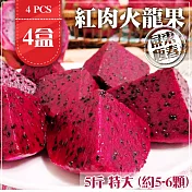 預購【家購網嚴選】屏東紅肉火龍果 5斤x4盒 特大(約5-6顆/盒)