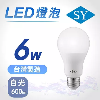 【SY 聲億】6W LED高效能廣角燈泡-白光