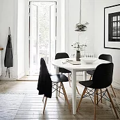 E-home EMS北歐經典造型餐椅-黑色