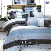 《幸福晨光》台灣製100%精梳棉雙人加大六件式床罩組-光河之歌