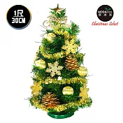 台灣製迷你1呎/1尺(30cm)裝飾綠色聖誕樹(糖果球金雪花系)(免組裝/本島免運費)金色