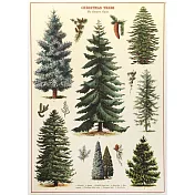 美國 Cavallini & Co. wrap 包裝紙/海報 聖誕樹們