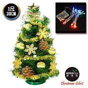 台灣製迷你1呎/1尺(30cm)裝飾綠色聖誕樹(糖果球金雪花系)+LED20燈彩光電池燈*1(免組裝)本島免運費金色