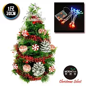 台灣製迷你1呎/1尺(30cm)裝飾綠色聖誕樹(薄荷糖果球銀松果系)+LED20燈彩光電池燈*1(免組裝)本島免運費銀色