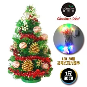 台灣製迷你1呎/1尺(30cm)裝飾綠色聖誕樹(木質雪花系)+LED20燈彩光插電式*1(免組裝)本島免運費金色